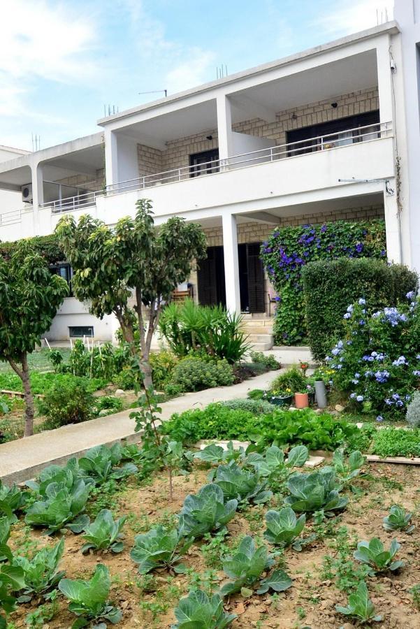 Apartment In Duce With Sea View, Terrace, Air Conditioning, Wifi 4969-2 Eksteriør billede